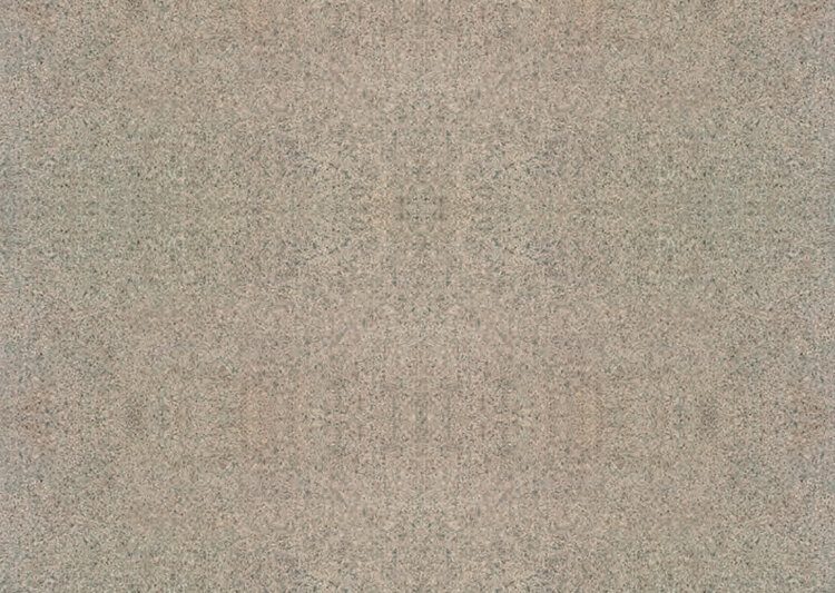 S113 img 1